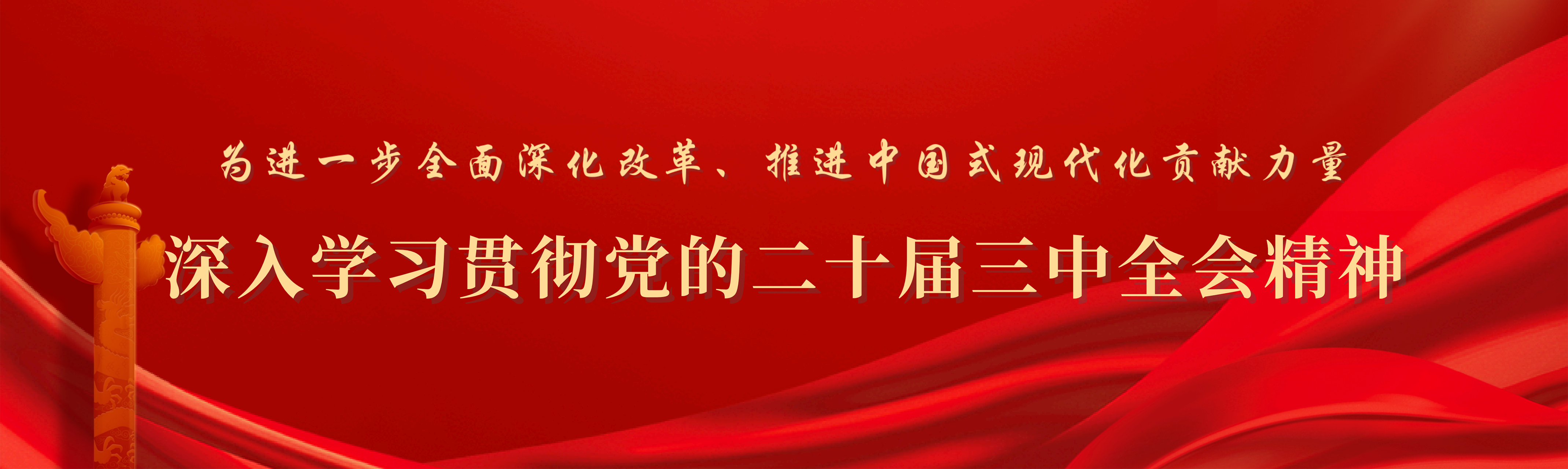 深入學習貫徹黨的二十屆三中全會精神